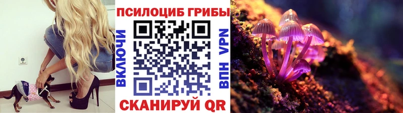 MEGA ТОР  Ачхой-Мартан  Псилоцибиновые грибы Psilocybine cubensis  где купить наркоту 